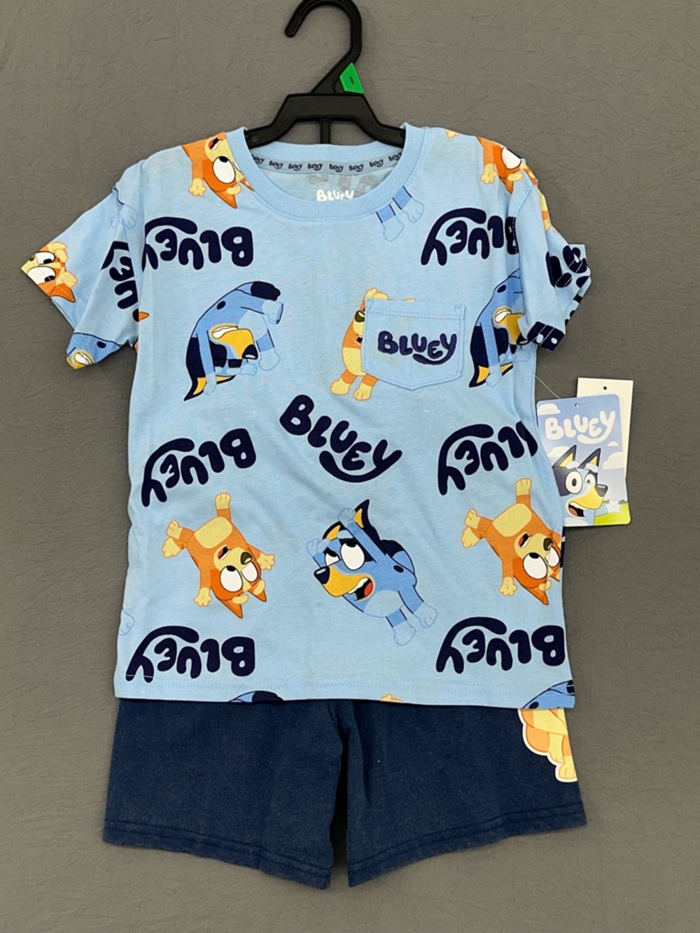Bluey T-Shirt & Short Set 5T